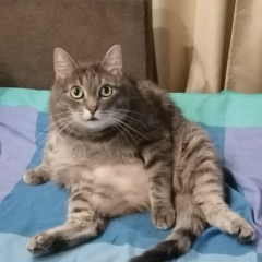 Юрий Тамушкин, 02.10.1985, Санкт-Петербург