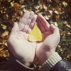 Ленчик Халяпина, 25.11