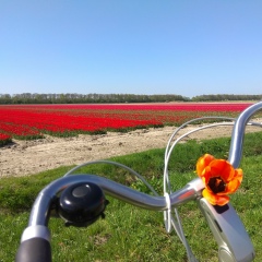 Ольга Кошкина, 16.06, Санкт-Петербург