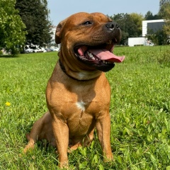 Денис Кораблёв, 22.07, Москва