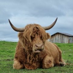 Милена Чехова, Санкт-Петербург