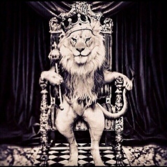 Серёжа Станкевич, 04.04, Birmingham