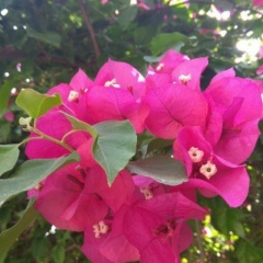 Елена Ос, 18.04, Москва