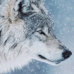 Асет Сейфуллин, 22.09.1988, Караганда