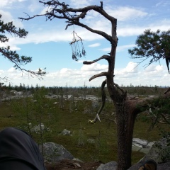 Станислав Гапочкин