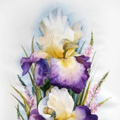 Анастасия Кузнецова, 06.05.1986, Москва