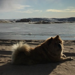 Наталия Letisia, 22.05.1979, Санкт-Петербург