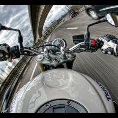 Петр Гринев, 01.01, Смоленск