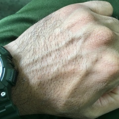 အာ ယု, Pyin Oo Lwin (Maymyo)