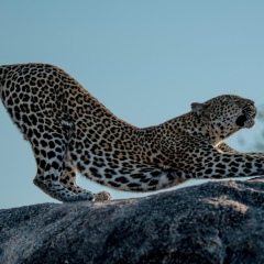 Katrin Vesna, 10.01.1987, Москва