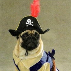 Максим Малинин, 11.03