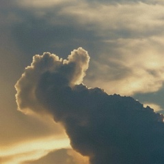 Евгений Коваленко, 24.07, Москва