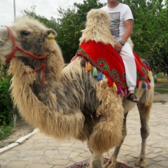 Alimzhan Baratov, 04.07.1989, Алматы