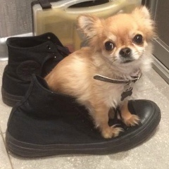 Виктор Петров, 01.08.1988, Москва