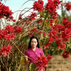 Nan Sein, 29.06.1976