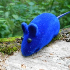 Синий Мышь, 21.04.1988, Симферополь