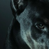 Stephan Viten, 15.08.1986, Москва