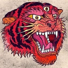 Сірожа Салюк, Киев