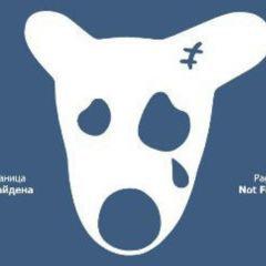 Александр Пуримов, Санкт-Петербург