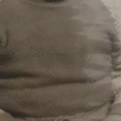 Денис Манузин, 24.11.1982, Новосибирск