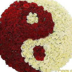 Оксана Гахова, 26.09.1990, Владикавказ