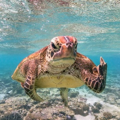 Александр Моковеев, 29.05.1993, Йошкар-Ола