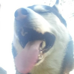 Евгений Михайлович, 20.04.1989, Владимир