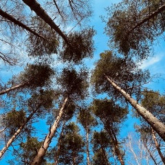 Валентина Иванова, 25.06, Москва