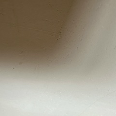 Muha Muha, Симферополь