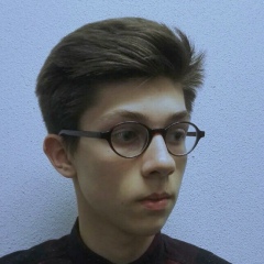 Шамиль Алисултанов, 06.01, Минск