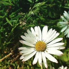 Saken Akhmetov, 30.10.1985, Мурманск