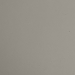 Ренат Сууров, 08.01, Астана