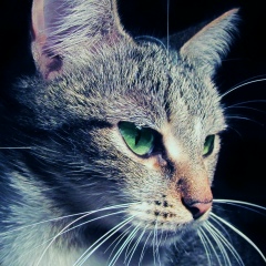 Дима Сысков, 29.06.2000, Buenos Aires