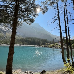 Світлана Світлана, Сумы