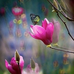 Амина Алданазарова, Сатпаев