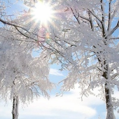 Расима Ишимова, 03.01, Уфа