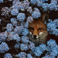 Олеся Леонтьева, Кинель