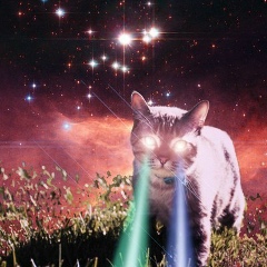 Екатерина Вакуленко, 01.11, Белгород-Днестровский