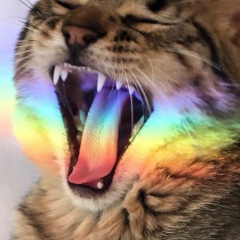 Эля Горелкина, 27.06.1986, Самара