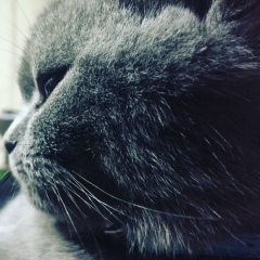 Женя Солнцев, Днепр (Днепропетровск)