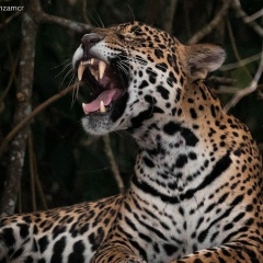 Жамбыл Жамбылбеков, 08.10