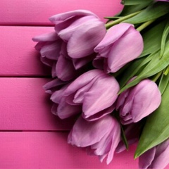 Марзия Шарапова, 02.06