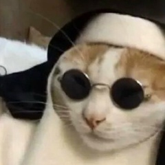 Глеб Мельник, 20.11, Киев