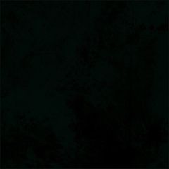 Алексей Штирлиц, 15.12, Ульяновск