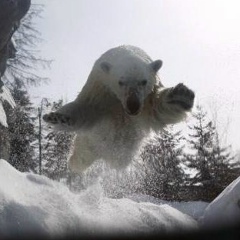 Ertoğrul Celilbeyli, 28.04.1990, Konya