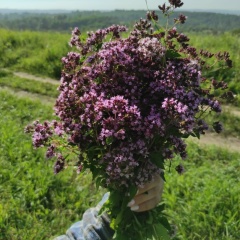 Лилия Платонова, 12.12.1985