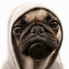 Костя Малюшин, 13.07.1988, Стерлитамак