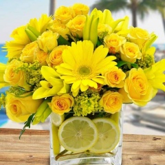 Алена Тыныныка, 30.06, Киев