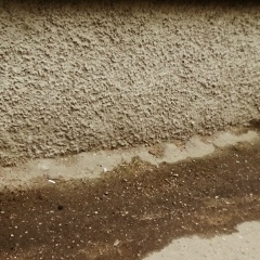 Charles Glinski, 20.09