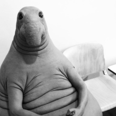 Ану Ар, Тараз